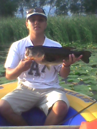 caught this 19 inch bass in the thick lily pads in a small lake called Norris lake MN. I was using a scum frog and was hopping it on top of the thick lily's.