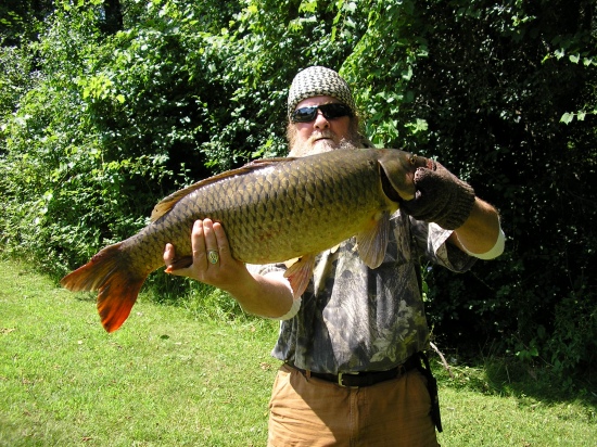 hers another large carp caught on bread balls 37inches long 36 pounds .caught in grand island ny at woods creek