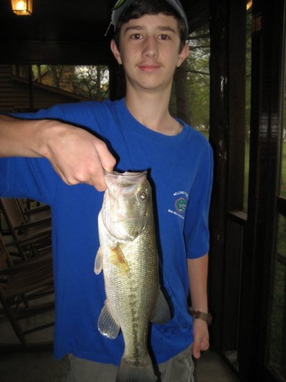 This Largemouth Bass was caught in Lake Wilson, Alabama on a grreen pumpkin artificial worm. It was my first bass and it weighed 3.5 lbs. I caught at 4:30 a.m. on my first cast.