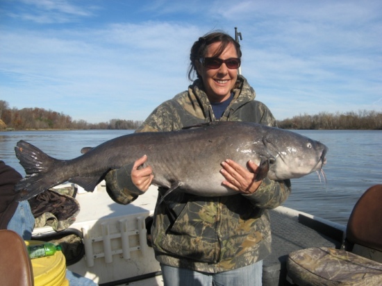 I caught this Hawg on the James River in Richmond, Va. It was a 41.1 pounder, my biggest so far. I am a female and own my own boat and catrigs, and am into Trophy Catfishing! This one's for you Bill!