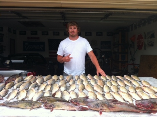 73 Sand Bass 11 Catfish, Caught on April 14th By Trent(me), Jimmie and Josh. Caught on lake Grapevine, Tx on Crappie rigs with live shad minnows.