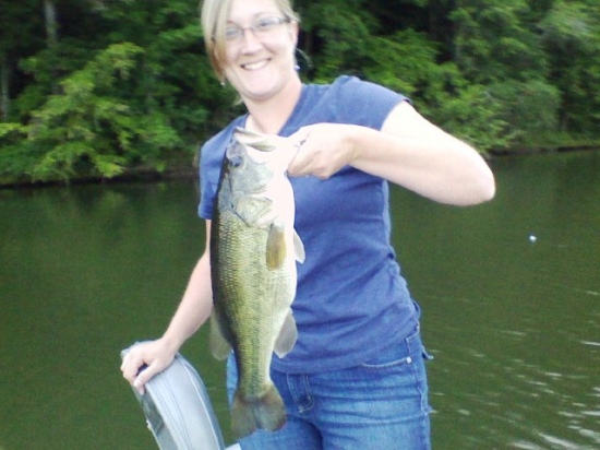 This was my wife's largerst bass she has ever caught. We where fishing @ Crow Creek in Stevenson, AL. She caught the bass on a yellow strike king 3/8oz spinner bait with gold blades. The fish weighed 4 1/2 lbs. She caught this fish on 6/7/12.