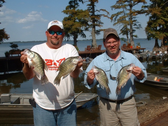 Bill,  Had the pleasure of staying at Blue Bank Resort and fishing the Realfoot Lake. Came down to crappie fish, here's a couple of nice ones, enjoyed my stay. I will be returning again same time next year, first week of October. Also took a mess of cat fish from shore, it was like fishing for blue gills.   Don