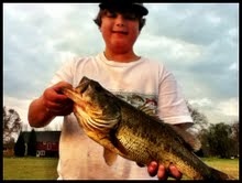 I got this trophy bass on a green dinger finger wacky wormed in the lily pads on November 10th around four oclock. What a fight!