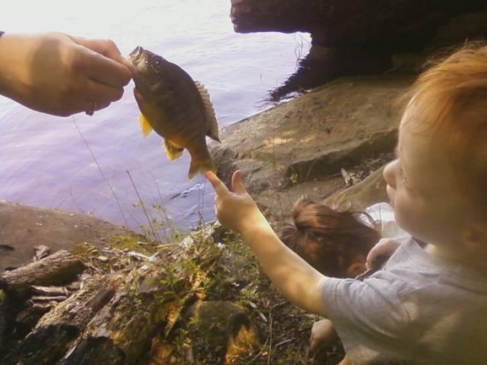 this is little noah and his first bluegill , he loves the water and is following in mine, and his papaw's footsteps , my dads dying wish was for him to have a fishing pole and to love it like we do .