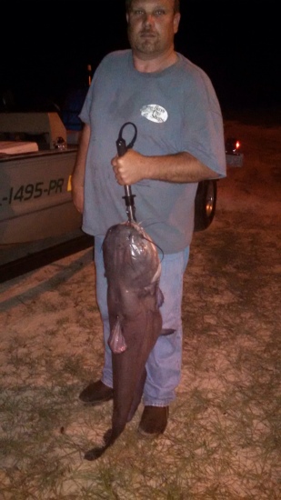 45 lbs blue cat coughs on the yellow river in Holt Fl.