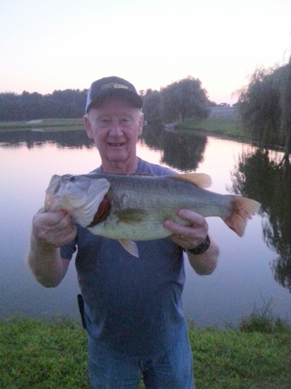 8-6-2014  A good 6lb plus Rage Tail Toad fish. caught her just a dark 2 feet from the shore line. Thought I was snagged. Wow   Columbus NJ   Fran    good fishing  ps  my BIGGEST Bass ever here in NJ
