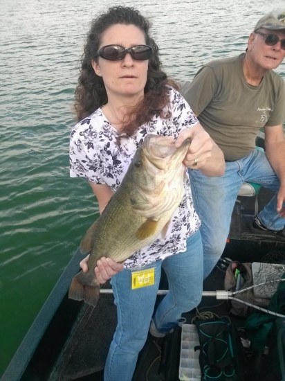 Penn Warner Club Bucks County PA. Large Mouth Bass 24