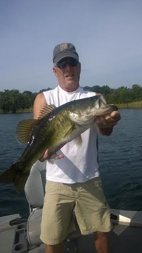 12 pound Large Mouth Bass caught in Florida lake.  Used a top water jerk bait.  Water temp was about 79` and clear day