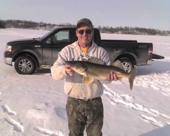 This walleye was caught on a public Minnesota Lake. It measured 27.5 inches and weighted around 8 lbs. The person who caught this fish practiced catch and release.