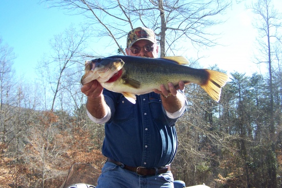 Caught by David Brown at Nickajack Lake in Jasper, TN in January, 2009.  This bass weighed 7 lbs 11 ounces and was caught using a Crankbait.