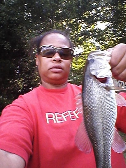 Largemouth Bass, caught at crestwood pond. Weight at about 4lbs. High point N.C. caught it bankfishing with a zoom fluke, babybass color, 10lbs. Test line.