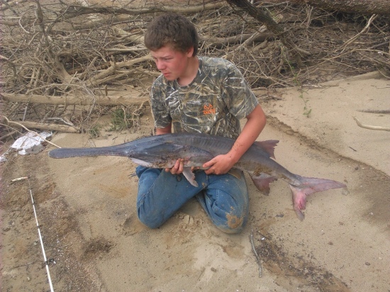 20lbs paddle fish caught at watsbar