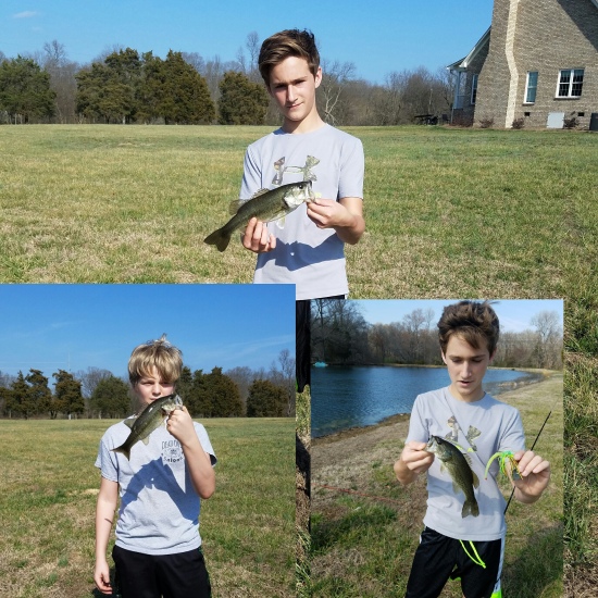 Got 2 others didn't get pictures caught themy on jigs and buzz baits