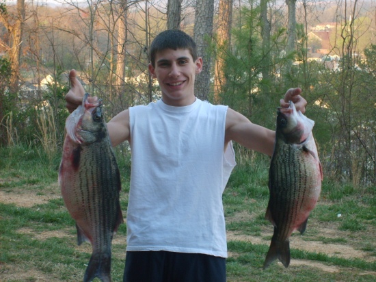 I caught these to striped bass at Logan Martin Dam in Alabama. The one on the left wieghed rite at 15.6 lbs and the one on the right wighed 12.3 lbs. Very happy with my catch. Was using live shad.