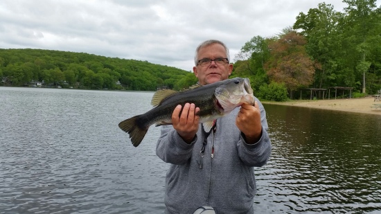 The fist was caught in Connecticut on 5/27/2017 11:30 a.m. with water temp at 60 degrees. Weight was estimated over 6 pounds due to our scale battery was dead...Also, first day of fishing to start the year...