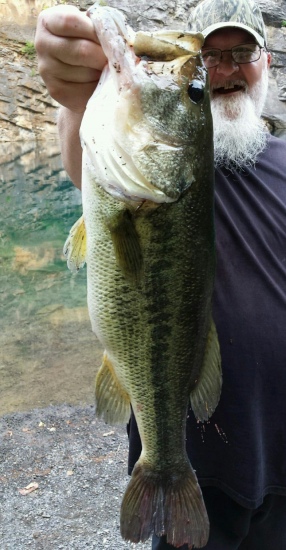 I was fishing with my son-in-law in Jefferson City TN. Later in the afternoon using Bill Dance Bytes that he shares, I put it to use & Caught this BigBoy!! I'm guessing 10-12lbs? We've caught several that were big but never this big!! The best part aside catching this Bass is I've now got my son-in-law wanting to fish as often as he can or when i call him up he's ready to go now!! Thanks for sharing your knowledge Bill!!