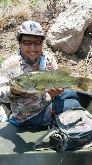 Caught this 6.4 Largie on a texas rigged critter down here in SouthTexas