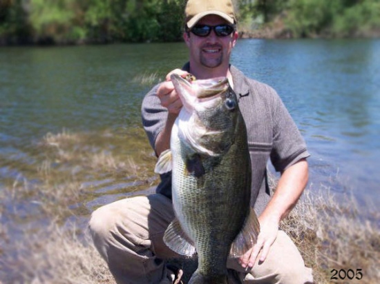 Hello, I got this 13.2lb river bass while jigging rubber worms over tree limbs in the Merced River near Hopten CA. This bass jumped in to the trees trying to break off, but I kept with him and eventually I got em..... whoo hoo Thanks Bill for all those fishing/tips lessons they paid off..