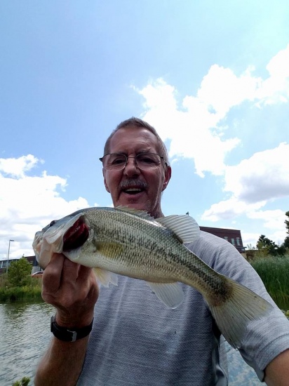 nice pond largemouth bass no idea weight or length but its fun catching them here in Plainfield IN using some of Bill's  tips