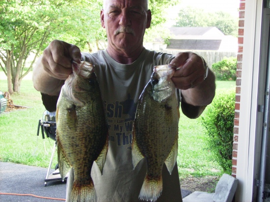 couple of crappie caught in mid july in normandy lake tenn. fishing with my son in law based at arnold air force base.