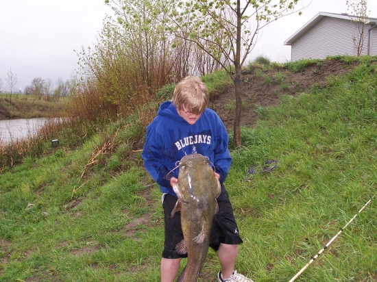I caught this Flathead catfish in nebraska with a live bluegill. It weighed 5lbs and was about 43 inches long.