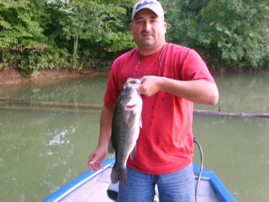 I CAUGHT THIS FISH AT STONEWALL JACKSON LAKE IN WEST VIRGINIA. I CAUGHT IT ON A BANDIT CRANKBAIT AND WIEGHED ABOUT 6LBS. I CRANKED IT OVER THE LOG BEHIND ME AND ABOUT JERKED THE ROD OUT OF MY HAND. THE BIGGEST BASS I'VE EVER CAUGHT.