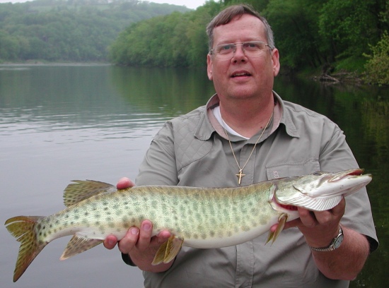Jim Friedrichs with a purebred Musky, caught and released in the Delaware River, at Belvidere, NJ on Saturday, 16 May 2009 on a white, double bladed bass spinner.  She was about 30 inches / 8 pounds.
