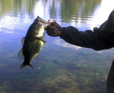 caught at hawk island county park, about six pounds. my biggest bass!