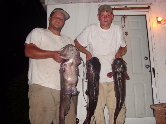 JEFF STONE WITH 23LB CAT FISH AND JEAN VACHON WITH 2 15 LB CATS.CAUGHT AT GOAT ROCK PHENIX CITY AL.