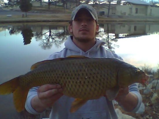 I caught this carp in the Concho River (San Angelo, Texas) on Christmas day 2009. It was below 40 degrees and I was targeting rainbow trout. I was pretty suprised even though I use corn when I am targeting carp too. No weight on the fish and released it.