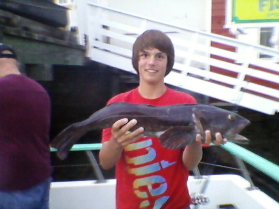 i caughted this fish right out of morro bay... i deckhand on the boat.. i5lbs and 32 inches..