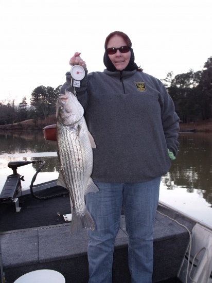 Lake Oliver, Columbus, GA 10 lb striper caught Jan 13, 2010 on a blue/black Booyah Boogie Bait using 10 lb test.  My first catch on my new Quantum IM8 Code combo.  Thanks Bill for showing me how it's done!