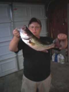 caught the fish in a  farm pond in reidsville  nc caught on on a zoom 12 inch limetruese trick worm  it weighed bout 4 1/2 to 6 pounds i realy dont know   but it put up a hecka of a fight