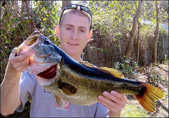 Hello everyone. Here's a photo of my largest bass. It weighed over 8lbs. I hooked and landed the fish on 1/15/05 in the panhandle of Florida, at where I call the Special Lake, using 8lb line and a Quantum Energy 20 spinning reel from the bank. Fish on.  Rick
