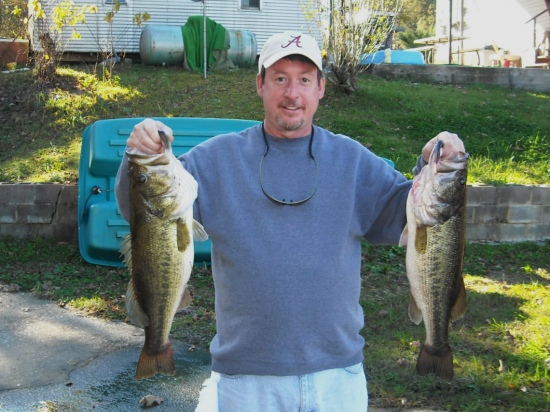 These bass were 6 and 8 lbs. They were caught in a private lake at Wellington, Alabama.