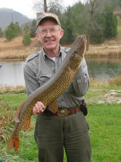 I recently moved to Wisconsin from Alaska.  My new home includes a 1 acre pond in the front yard.  The previous owners sons added some extra fish to the pond.  This one had grown and caused quite a bit of damage until I got him.  36 inches long, 12 pounds.