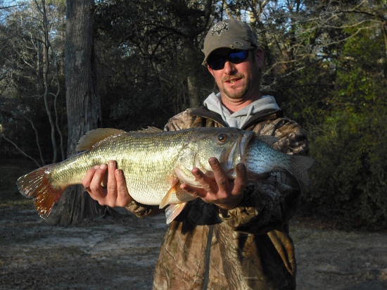 10 lb. Bass caught on the Chattahoochee, with a citrus-shad bomber crankbait in about 3 ft. of water. (He started swallowing a crappie in the livewell on the way home from the river, had to pull him out!) -Feb. 28, 2010