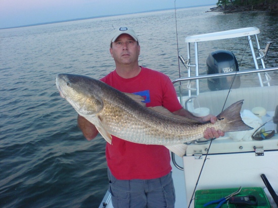 Capt. Lynn Pridgen with a Bull Redfish. Caught in Choctaw Pass in Mobile,Alabama