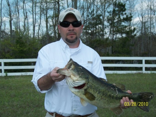 This my son-in-law A.J.  He caught this 8lb 7oz bass in a local pond while fishing with his family.