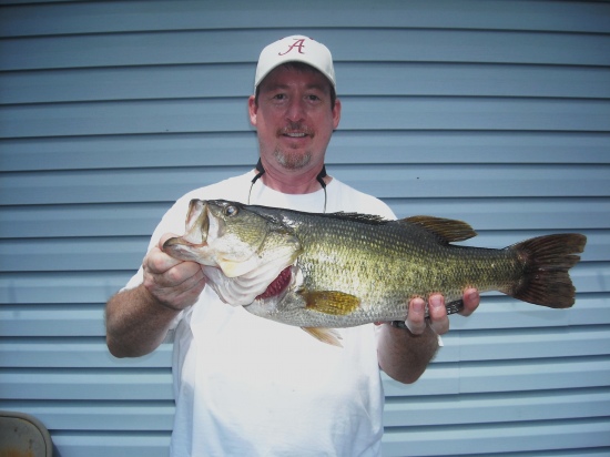 This 6lb Large Mouth was caught at a private lake in Wellington AL.