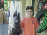 47.5 pound Blue Catfish caught on Badin Lake, North Carolina, on July, 27, 2011 by 12 year old Drew Mathison, using cut bait.