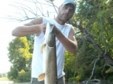 42 inch northern pike caught in a little creek in Michigan