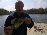 fishing a 8 acre lake in oakland county using tube baits. 14 and 16