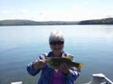 Fished the Quabbin Reservoir New Salem,Ma. Fish weighed 2 1/4lbs. I will be 71 in July. Been fishing forever. Love it.