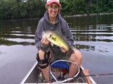 16.5 inch largemouth 2.42lbs caught on the Oxbow in Easthampton Massachusetts.