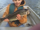 This is my 8 year old son, Joey, with his first large mouth. It weighed 5.2 lbs. We were fishing chartreuse lizards weightless in a school of suspended bass in 30 foot of water. He fought the fish all by himself and I lipped the fish for him. Hard to tell which is larger, the bass or his smile. This is the beginning of a life long fishing passion. He skunked his old man that trip and says he will be with me every weekend on the water. Just thought you might enjoy the pic.