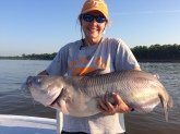 28 lb catfish caught on ms. River on July  21, 2016
