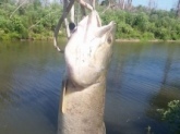 I caught this on Lake Somerville and dont know what it is? Please help