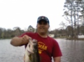 caught on a blue and chartreuse(spelling) 1/2oz. spinner bait in three and a half feet of water in late-afternoon. this big ol' pig weighed in at 9lbs 6oz. and still had a perch in its mouth which looked to have been freshly eaten.